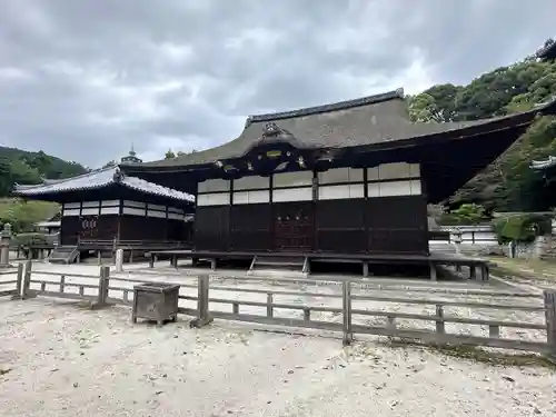 園城寺（三井寺）(滋賀県)