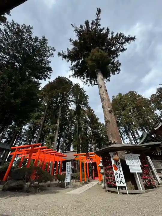 櫛引八幡宮(青森県)