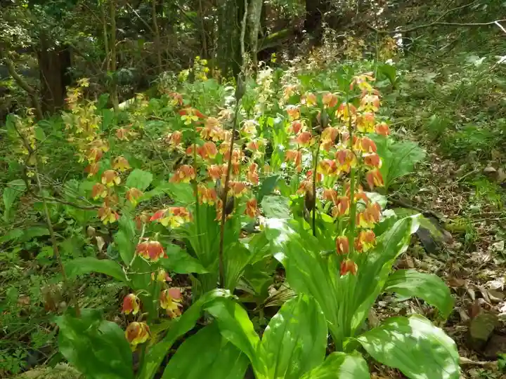 薬王寺(山口県)