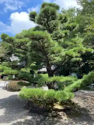 大興寺(香川県)
