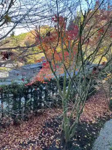 正寿院(京都府)