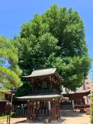 飛騨国分寺(岐阜県)