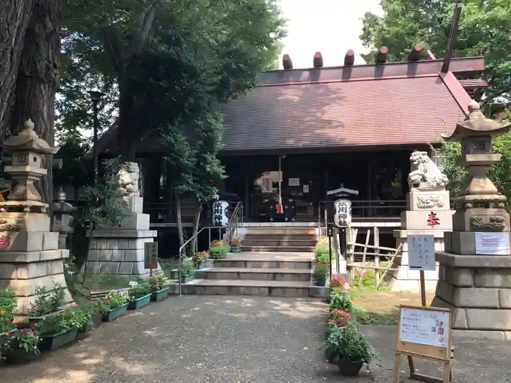 高円寺氷川神社の本殿・本堂