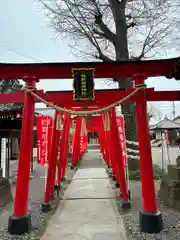 於菊稲荷神社の鳥居