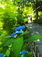 安國論寺(安国論寺)(神奈川県)