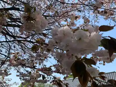 九重神社(埼玉県)