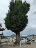 永昌寺(岐阜県)