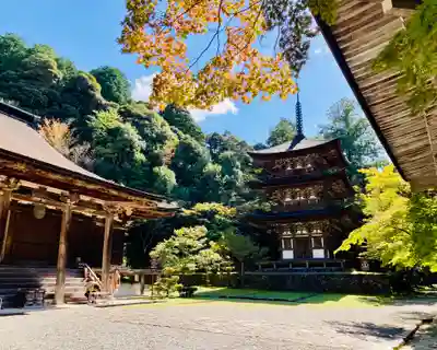 西明寺のその他建物