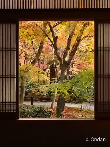 圓光寺(京都府)