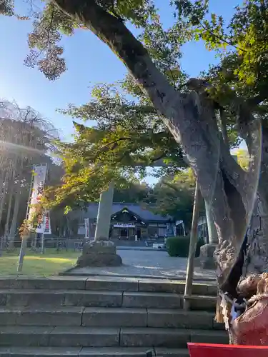 足羽神社(福井県)