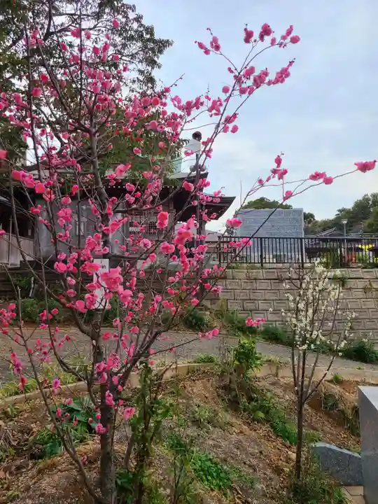 岡田神社(福岡県)