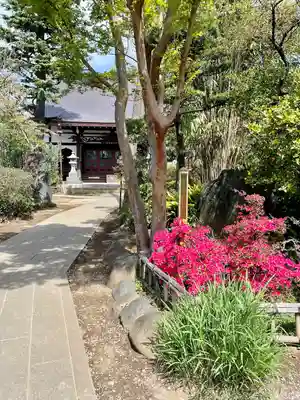 本行寺(東京都)