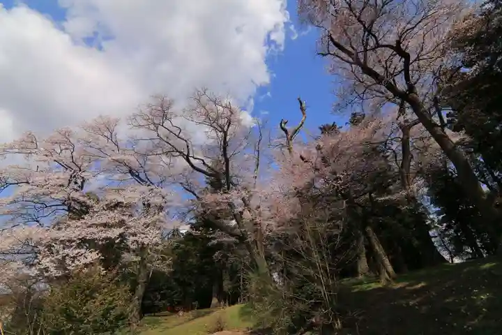 神炊館神社 ⁂奥州須賀川総鎮守⁂の自然