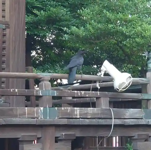 荏原神社(東京都)