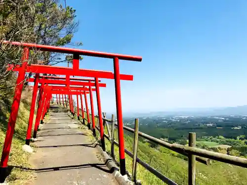 朝日稲荷神社の鳥居
