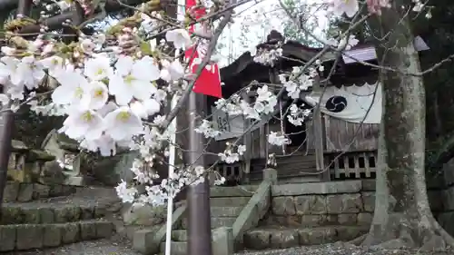 津嶋神社の自然