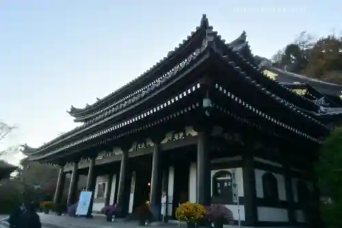 長谷寺(神奈川県)