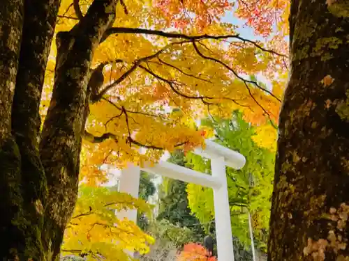 土津神社｜こどもと出世の神さまの景色