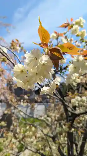 橋寺 放生院(京都府)