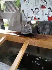 鳩ヶ谷氷川神社の手水