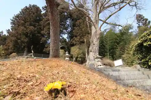 諏訪神社の景色