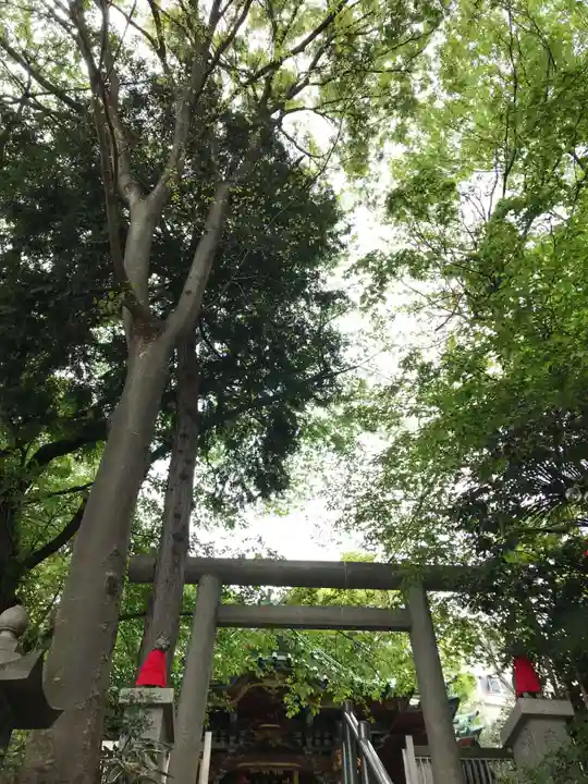 王子稲荷神社の自然
