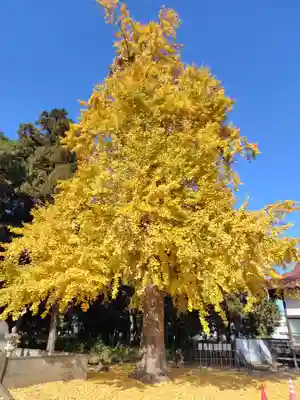 専光寺(群馬県)