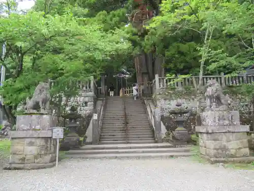 戸隠神社中社(長野県)