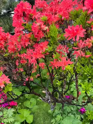 宝壽山 吉祥院の自然