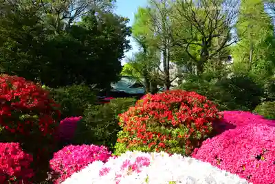 根津神社(東京都)
