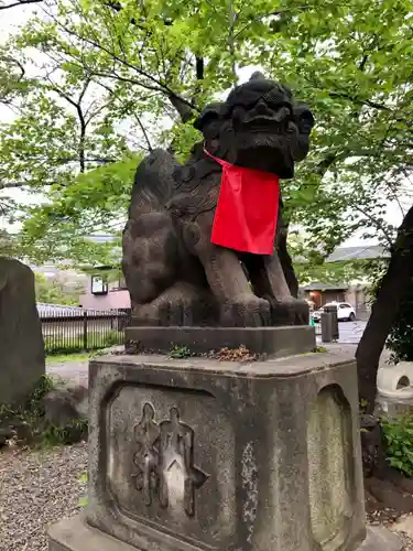 市谷亀岡八幡宮の狛犬