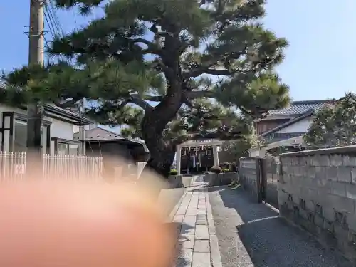 都久生須麻神社の{uncategorized: "未分類", other: "その他", undefined: "問題あり", building: "その他建物", grave: "お墓", sacred_gate: "鳥居", guardian: "狛犬", statue: "像", buddha: "仏像", history: "歴史", nature: "自然", garden: "庭園", animal: "動物", pagoda: "塔", temizu: "手水舎", mountain_gate: "山門・神門", sanctuary: "本殿・本堂", subordinate: "末社・摂社", art: "芸術", scenery: "景色", jizo: "地蔵", ema: "絵馬", goshuin: "御朱印", omikuji: "おみくじ", items: "授与品その他", amulet: "お守り", goshuincho: "御朱印帳", eats: "食事", festival: "お祭り", votive_dance: "神楽", shichigosan: "七五三参", wedding: "結婚式", experience: "体験その他", initially: "初詣", around: "周辺", anti_infection: "感染症対策"}