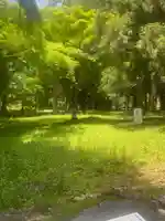 宇佐宮弥勒寺跡の自然