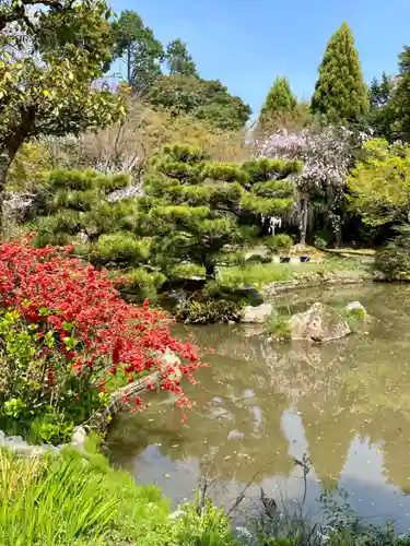 法金剛院(京都府)