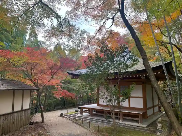神峯山寺(大阪府)