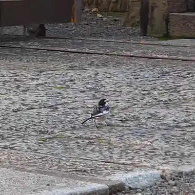 町田天満宮(東京都)