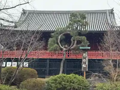 清水観音堂の{uncategorized: "未分類", other: "その他", undefined: "問題あり", building: "その他建物", grave: "お墓", sacred_gate: "鳥居", guardian: "狛犬", statue: "像", buddha: "仏像", history: "歴史", nature: "自然", garden: "庭園", animal: "動物", pagoda: "塔", temizu: "手水舎", mountain_gate: "山門・神門", sanctuary: "本殿・本堂", subordinate: "末社・摂社", art: "芸術", scenery: "景色", jizo: "地蔵", ema: "絵馬", goshuin: "御朱印", omikuji: "おみくじ", items: "授与品その他", amulet: "お守り", goshuincho: "御朱印帳", eats: "食事", festival: "お祭り", votive_dance: "神楽", shichigosan: "七五三参", wedding: "結婚式", experience: "体験その他", initially: "初詣", around: "周辺", anti_infection: "感染症対策"}