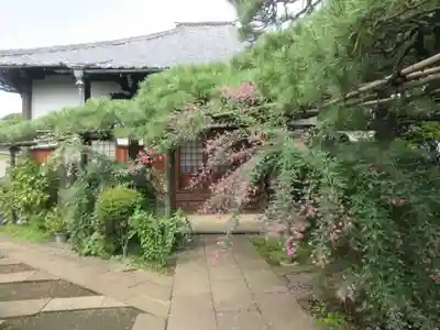 妙情寺(東京都)