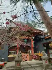 陽運寺の本殿