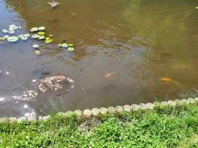 満願寺(栃木県)