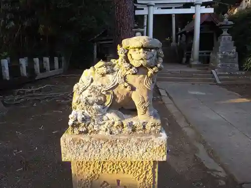 素鵞熊野神社の狛犬