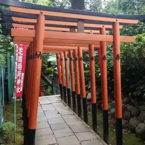 花園稲荷神社の鳥居