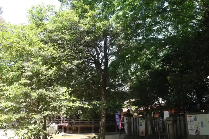 村屋坐弥冨都比売神社(奈良県)