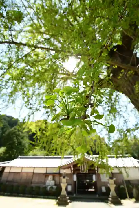 丹生酒殿神社(和歌山県)