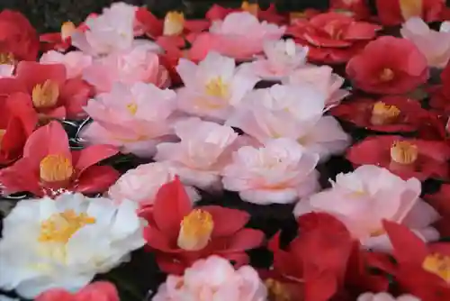 田村神社の手水舎