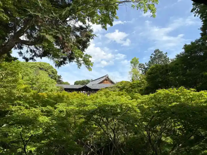 東福禅寺(東福寺)の{uncategorized: "未分類", other: "その他", undefined: "問題あり", building: "その他建物", grave: "お墓", sacred_gate: "鳥居", guardian: "狛犬", statue: "像", buddha: "仏像", history: "歴史", nature: "自然", garden: "庭園", animal: "動物", pagoda: "塔", temizu: "手水舎", mountain_gate: "山門・神門", sanctuary: "本殿・本堂", subordinate: "末社・摂社", art: "芸術", scenery: "景色", jizo: "地蔵", ema: "絵馬", goshuin: "御朱印", omikuji: "おみくじ", items: "授与品その他", amulet: "お守り", goshuincho: "御朱印帳", eats: "食事", festival: "お祭り", votive_dance: "神楽", shichigosan: "七五三参", wedding: "結婚式", experience: "体験その他", initially: "初詣", around: "周辺", anti_infection: "感染症対策"}