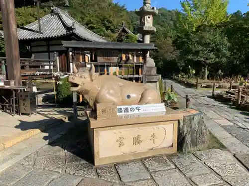 三室戸寺の狛犬