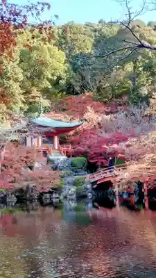 醍醐寺(京都府)