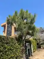松山神社(千葉県)