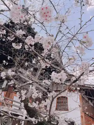 葛井寺の{uncategorized: "未分類", other: "その他", undefined: "問題あり", building: "その他建物", grave: "お墓", sacred_gate: "鳥居", guardian: "狛犬", statue: "像", buddha: "仏像", history: "歴史", nature: "自然", garden: "庭園", animal: "動物", pagoda: "塔", temizu: "手水舎", mountain_gate: "山門・神門", sanctuary: "本殿・本堂", subordinate: "末社・摂社", art: "芸術", scenery: "景色", jizo: "地蔵", ema: "絵馬", goshuin: "御朱印", omikuji: "おみくじ", items: "授与品その他", amulet: "お守り", goshuincho: "御朱印帳", eats: "食事", festival: "お祭り", votive_dance: "神楽", shichigosan: "七五三参", wedding: "結婚式", experience: "体験その他", initially: "初詣", around: "周辺", anti_infection: "感染症対策"}